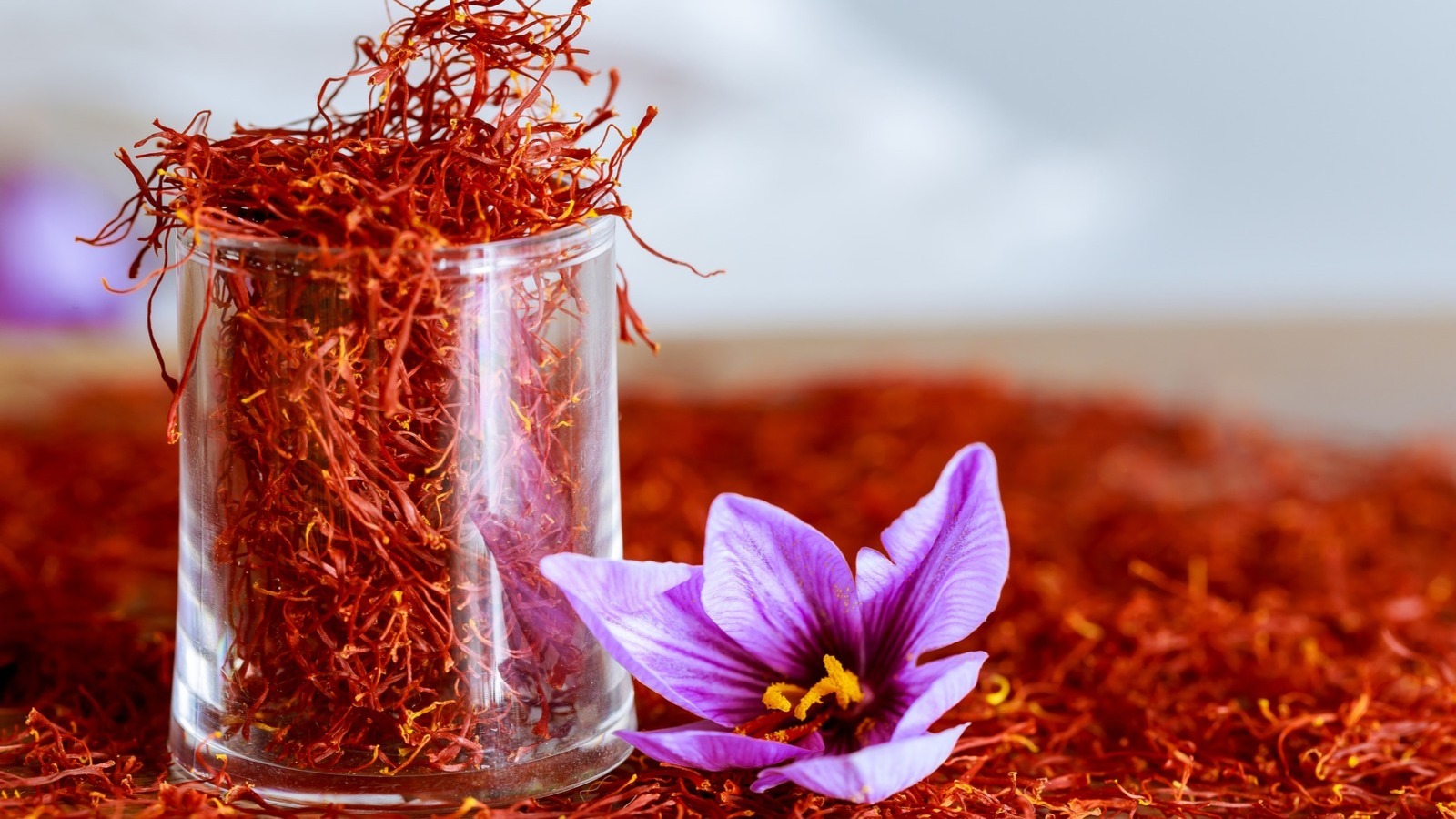 Main Banner Image 1